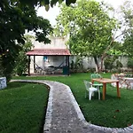 Amigos Hostel Cozumel