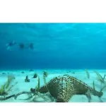 Suites Cozumel 112