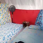 Camping & Voluntary