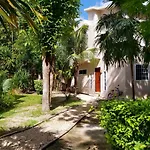 Mini Pini Bird Watching And Cenote Loft