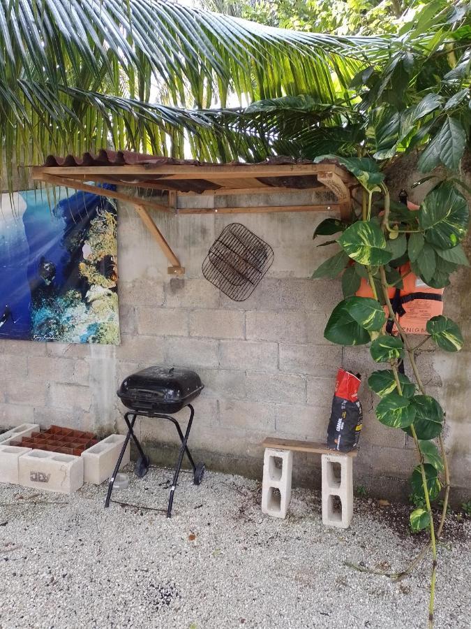 Blue Magic Cozumel