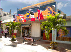 Hotel Palma Dorada 2*