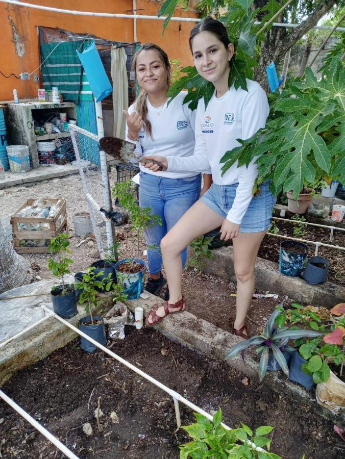 Khu cắm trại Camping & Voluntary