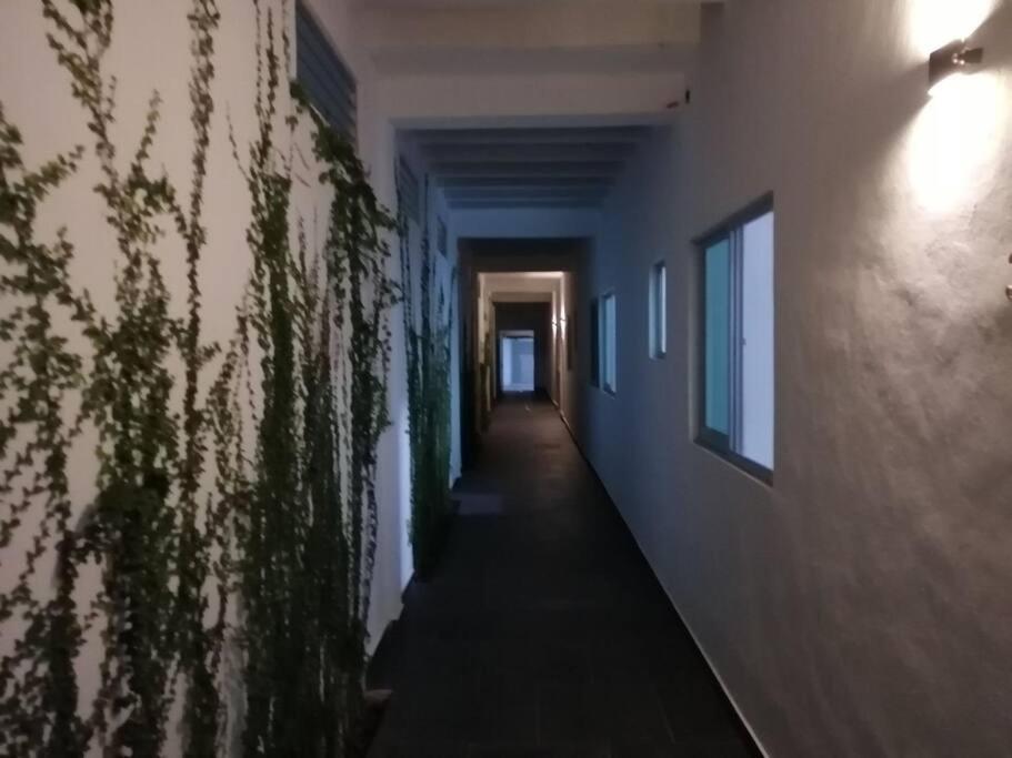 Lullaby Downtown Apartment. *