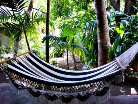 Khu cắm trại Camping & Voluntary *