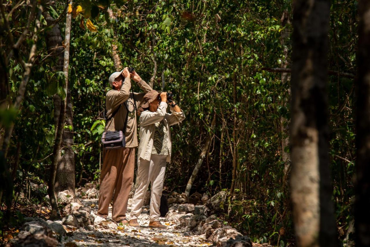 Maya - Glamping - Natural Reserve *