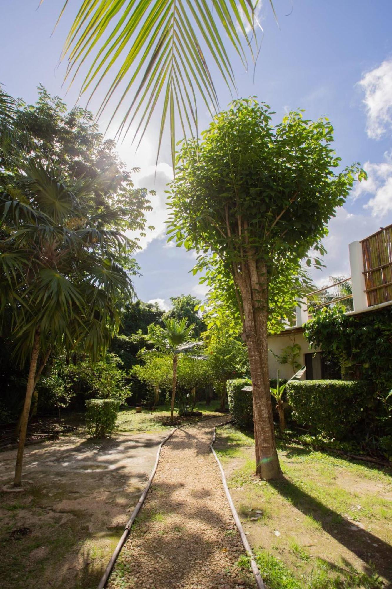 Mini Pini Birdwatching And Cenote Loft4 Only * Cozumel