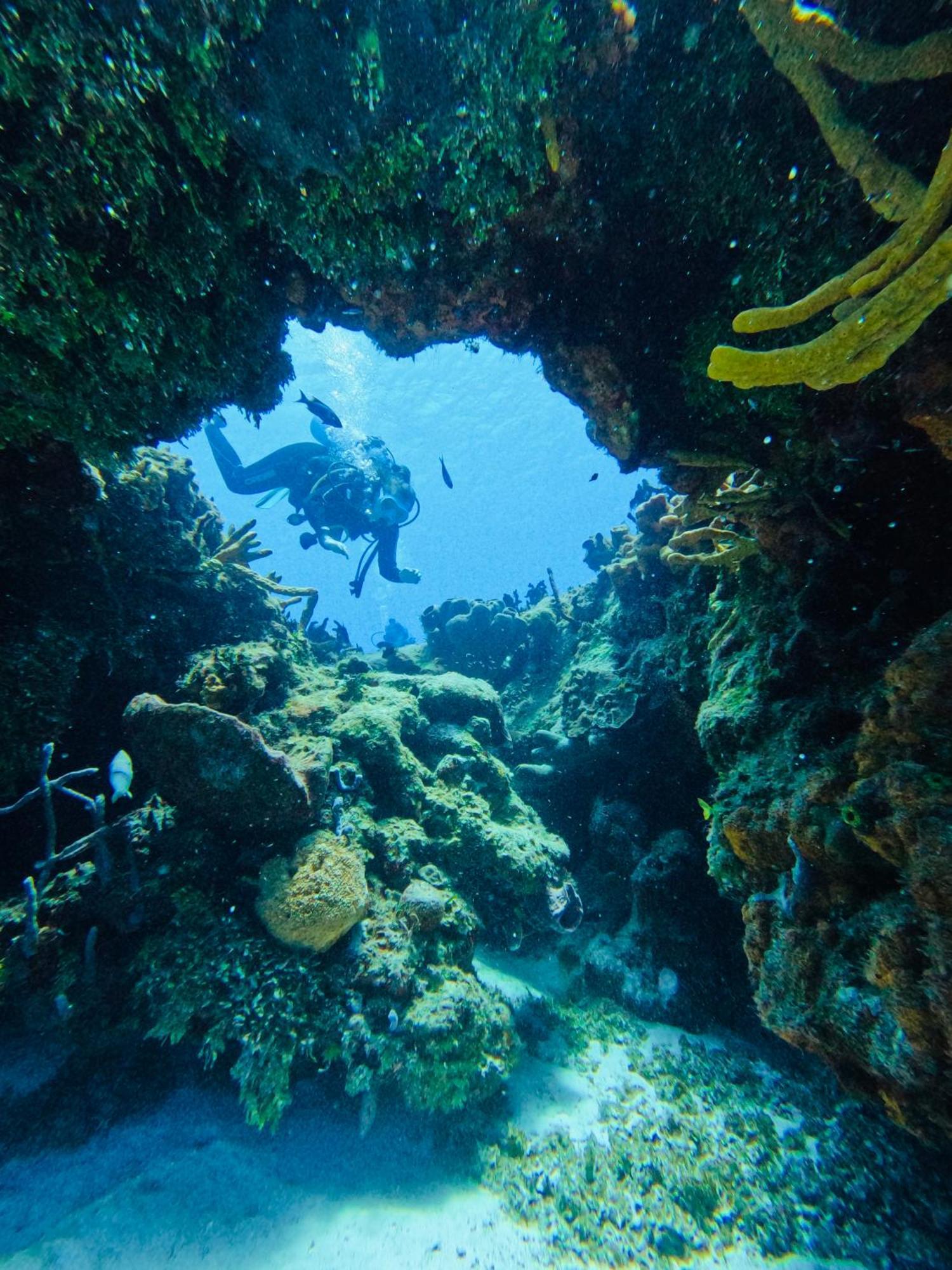 Casamaya & Diving Cozumel