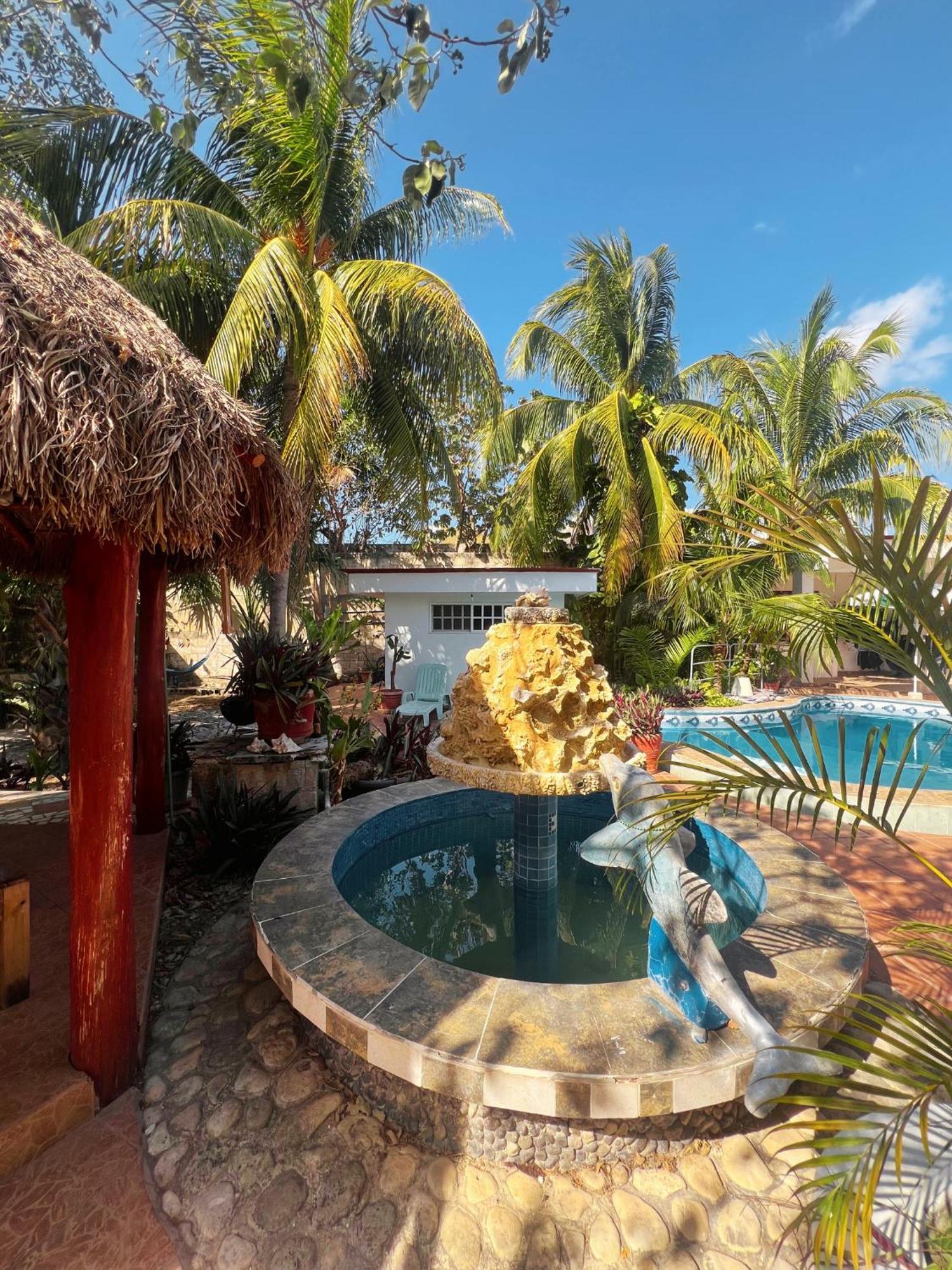 Casamaya & Diving Hospedagem domiciliar Cozumel