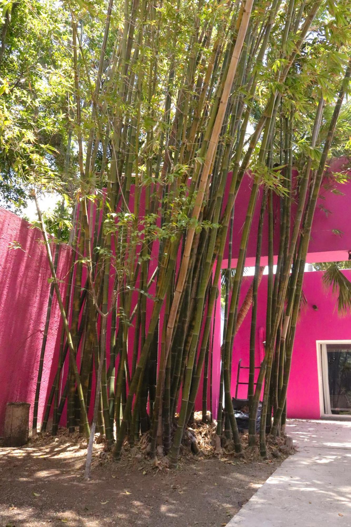 Guest house Casa Isabella Cozumel