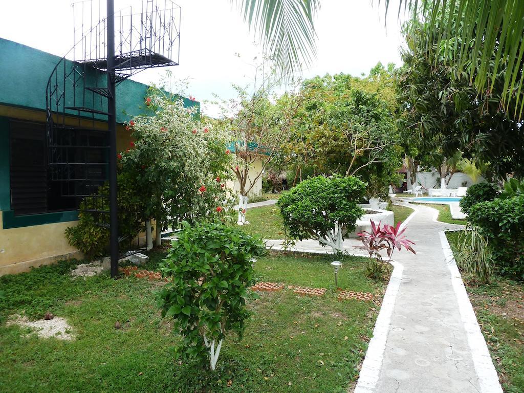 Hostal Amigos *