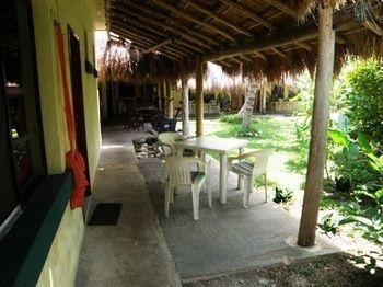 Amigos * Cozumel