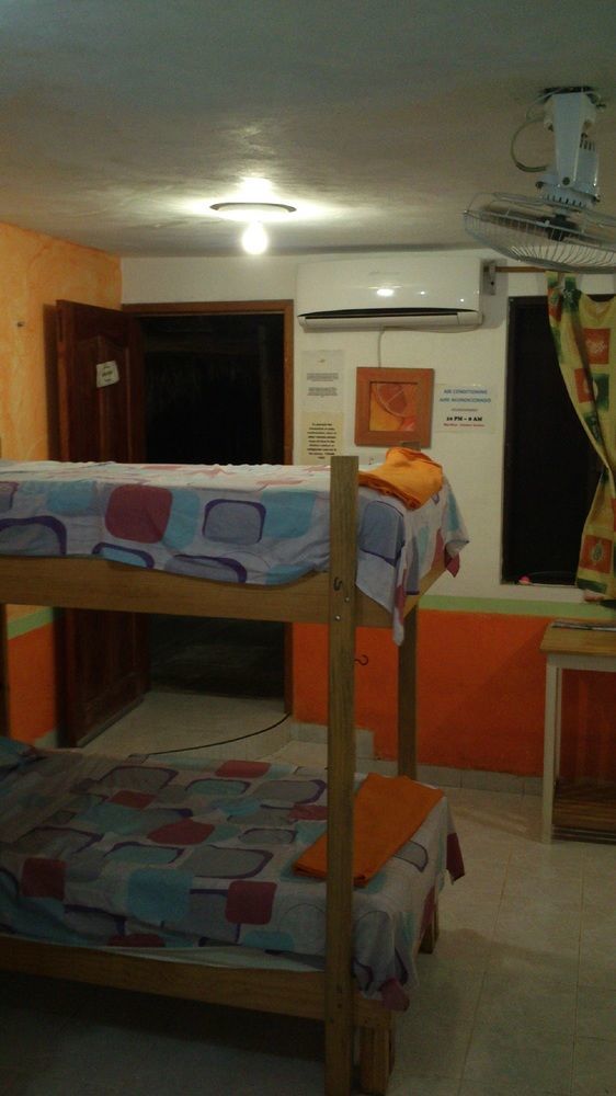 Hostal Amigos *