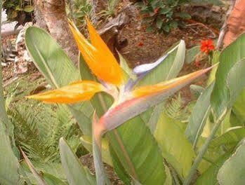 Baldwin's 3* Cozumel