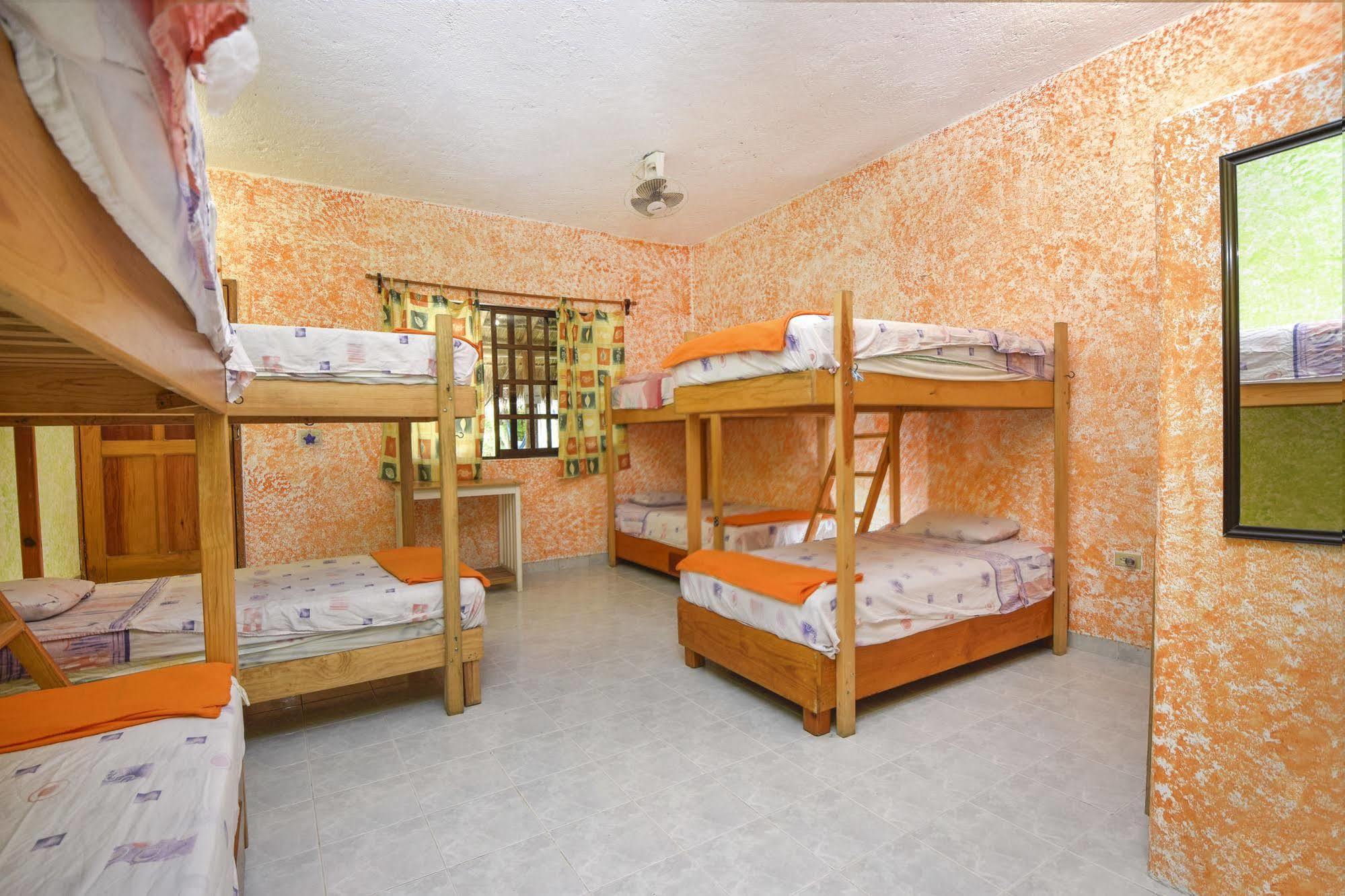 Amigos Hostal Cozumel