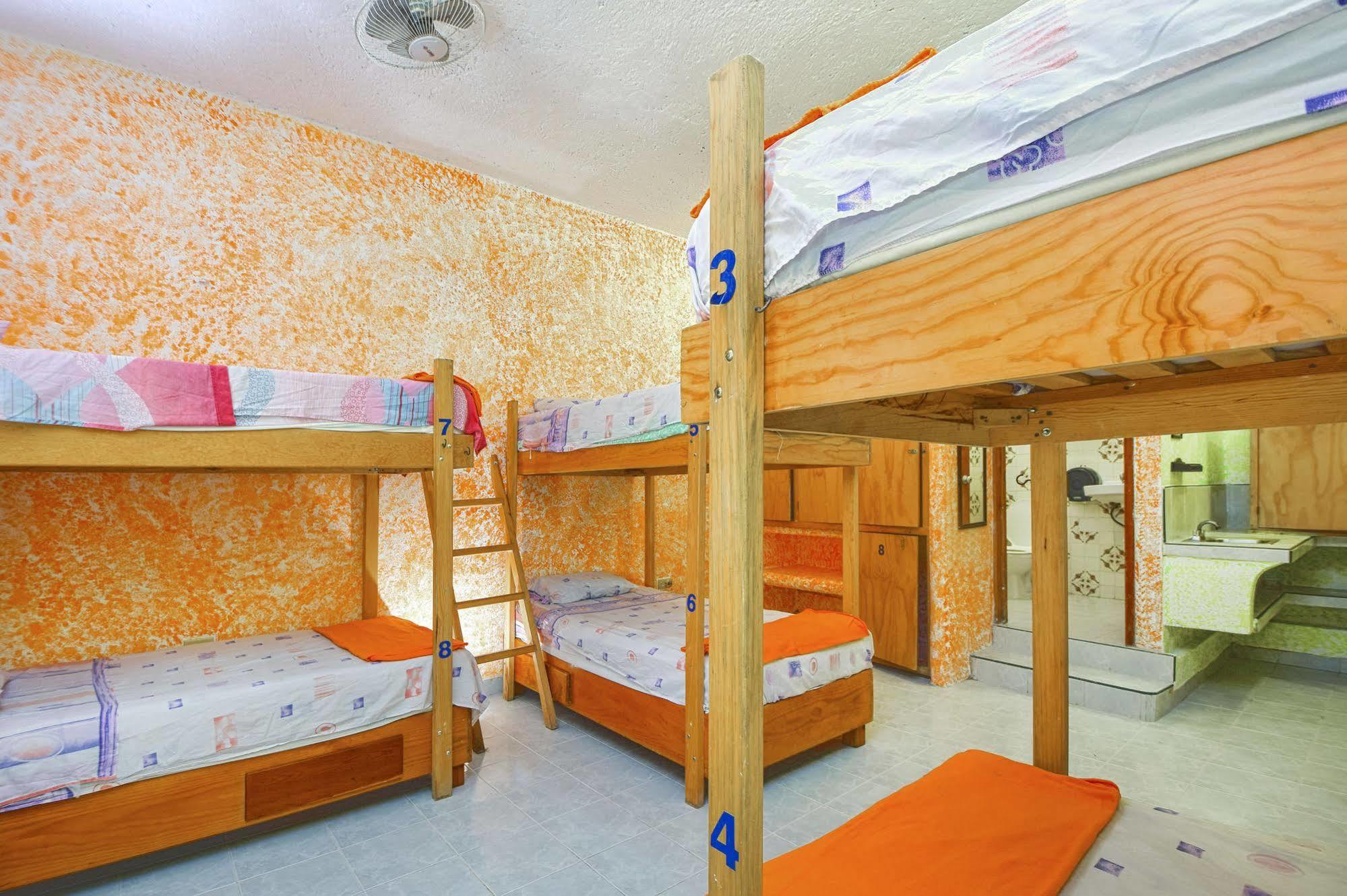 Amigos Hostal *