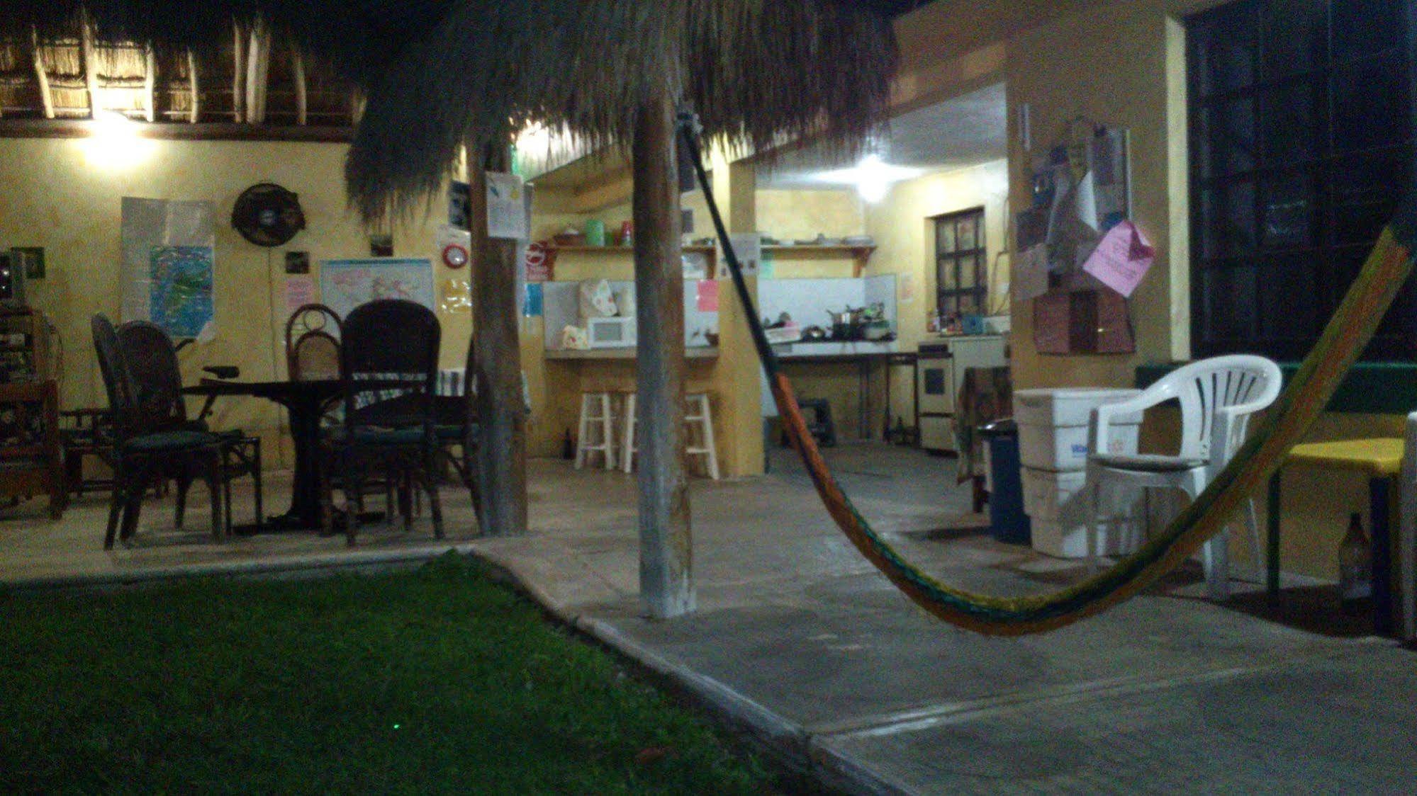Amigos Cozumel