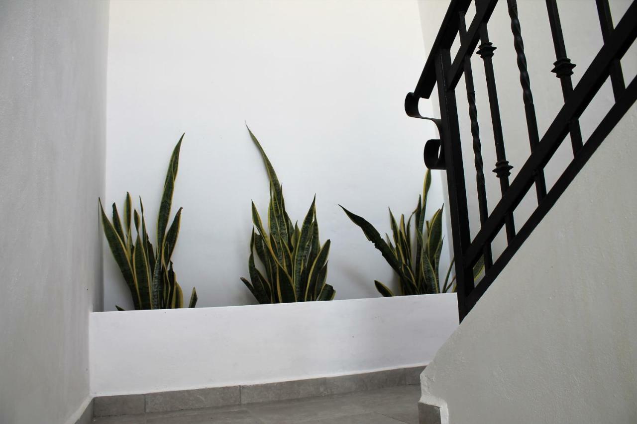 Apartment Alebrije *
