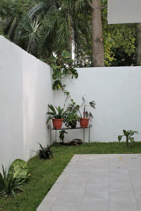 Apartment Alebrije Cozumel