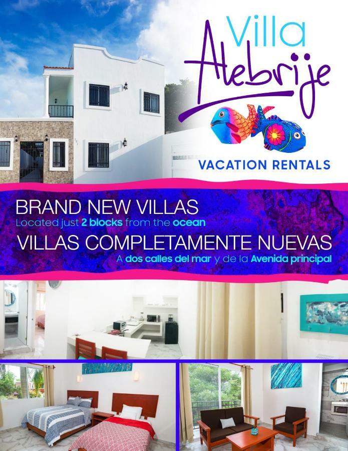 Alebrije * Cozumel
