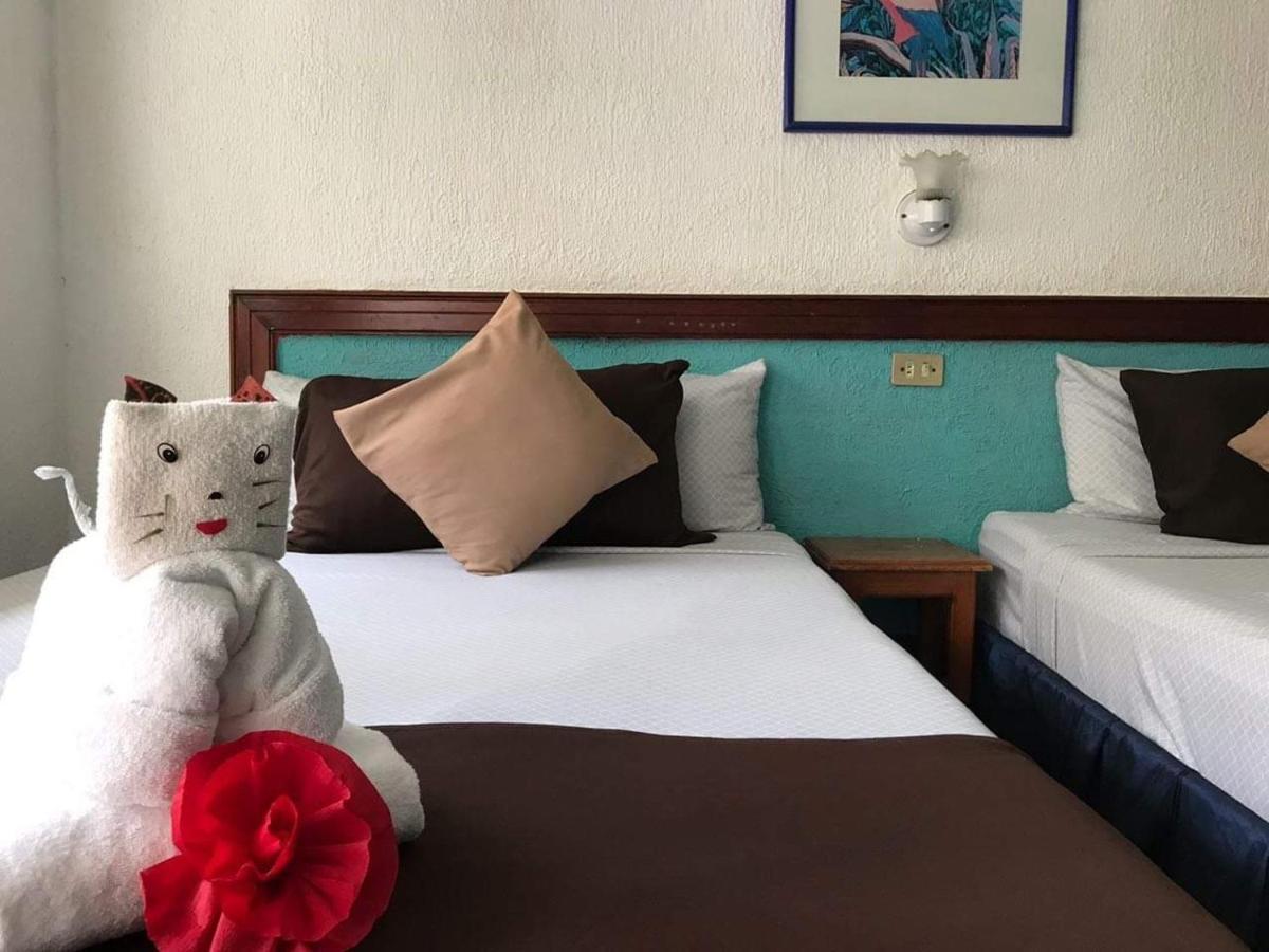 Grand & Diving Khách sạn