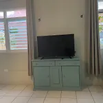 Budgie\'S 2 Studio