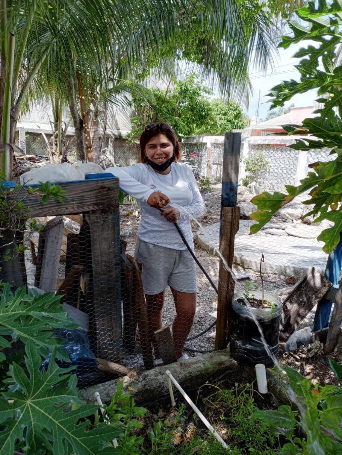 Sustainable Cabain Homestay