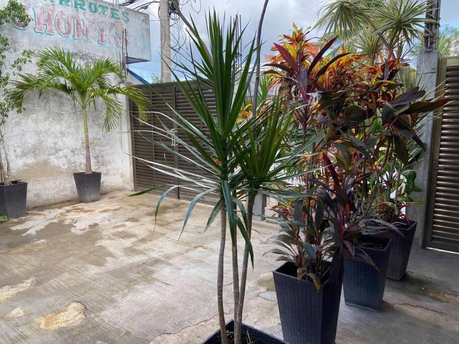 Villa Casa Totalmente Equipada Con Camaras De Vigilancia Cozumel