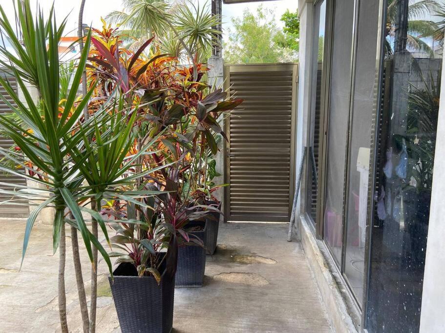 Casa Totalmente Equipada Con Camaras De Vigilancia * Cozumel