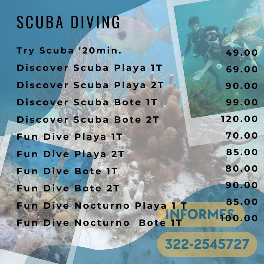 Divershostalcozumel Hostal