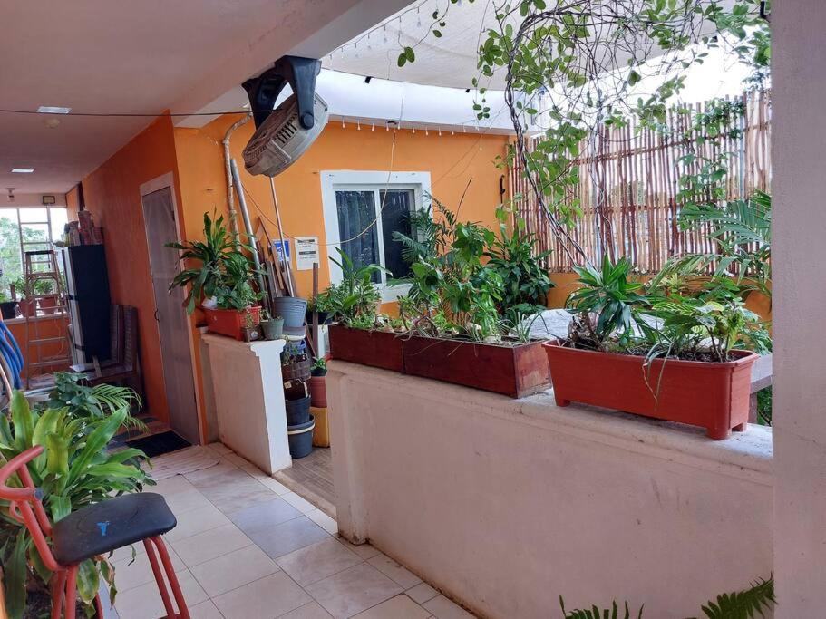 5 Estudio Planta Alta Con Terraza Cozumel