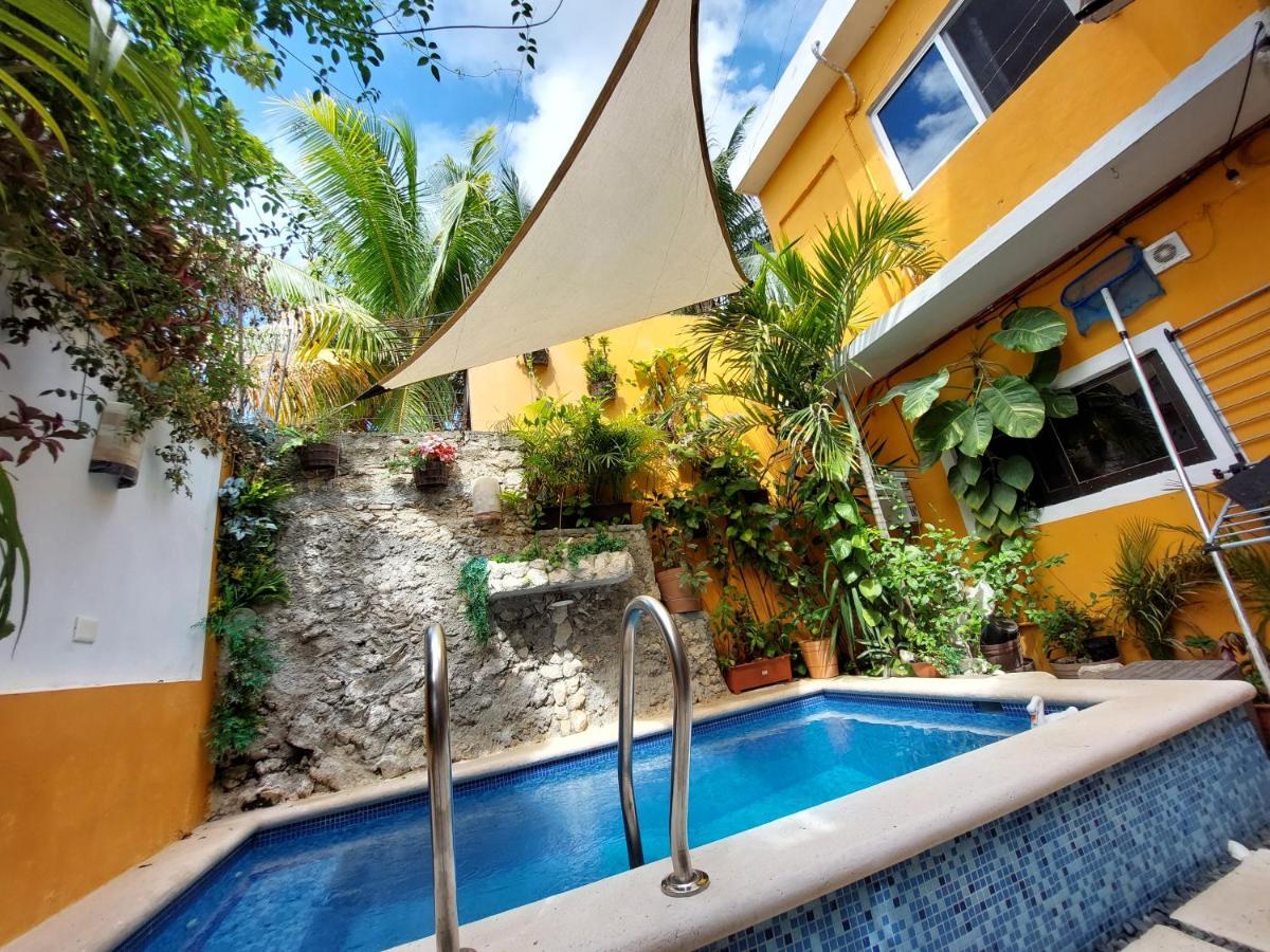 5 Estudio Planta Alta Con Terraza Apartamento *
