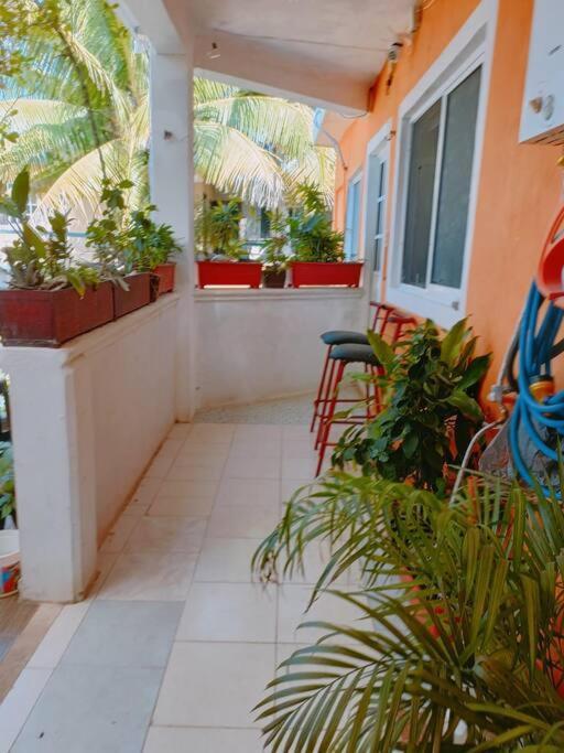 5 Estudio Planta Alta Con Terraza Apartamento *