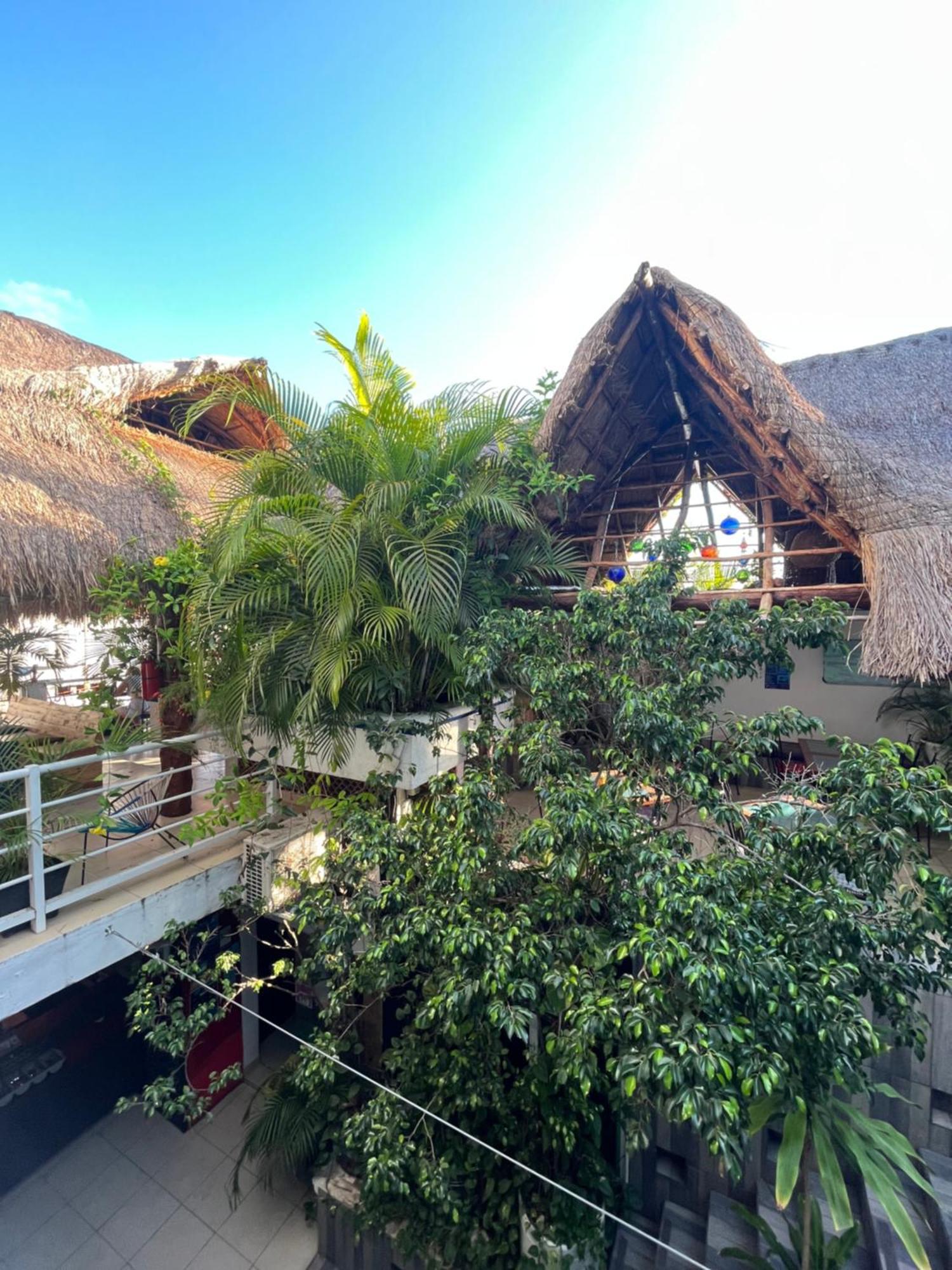 Khách sạn Hostelito Hotel 2*