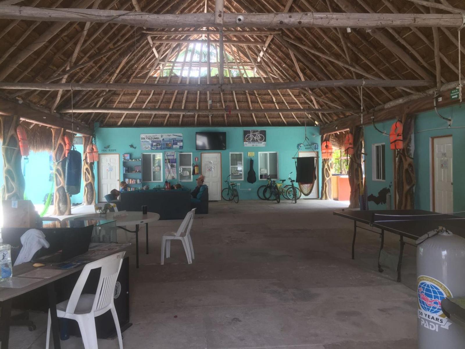 Albergue Blue Magic *