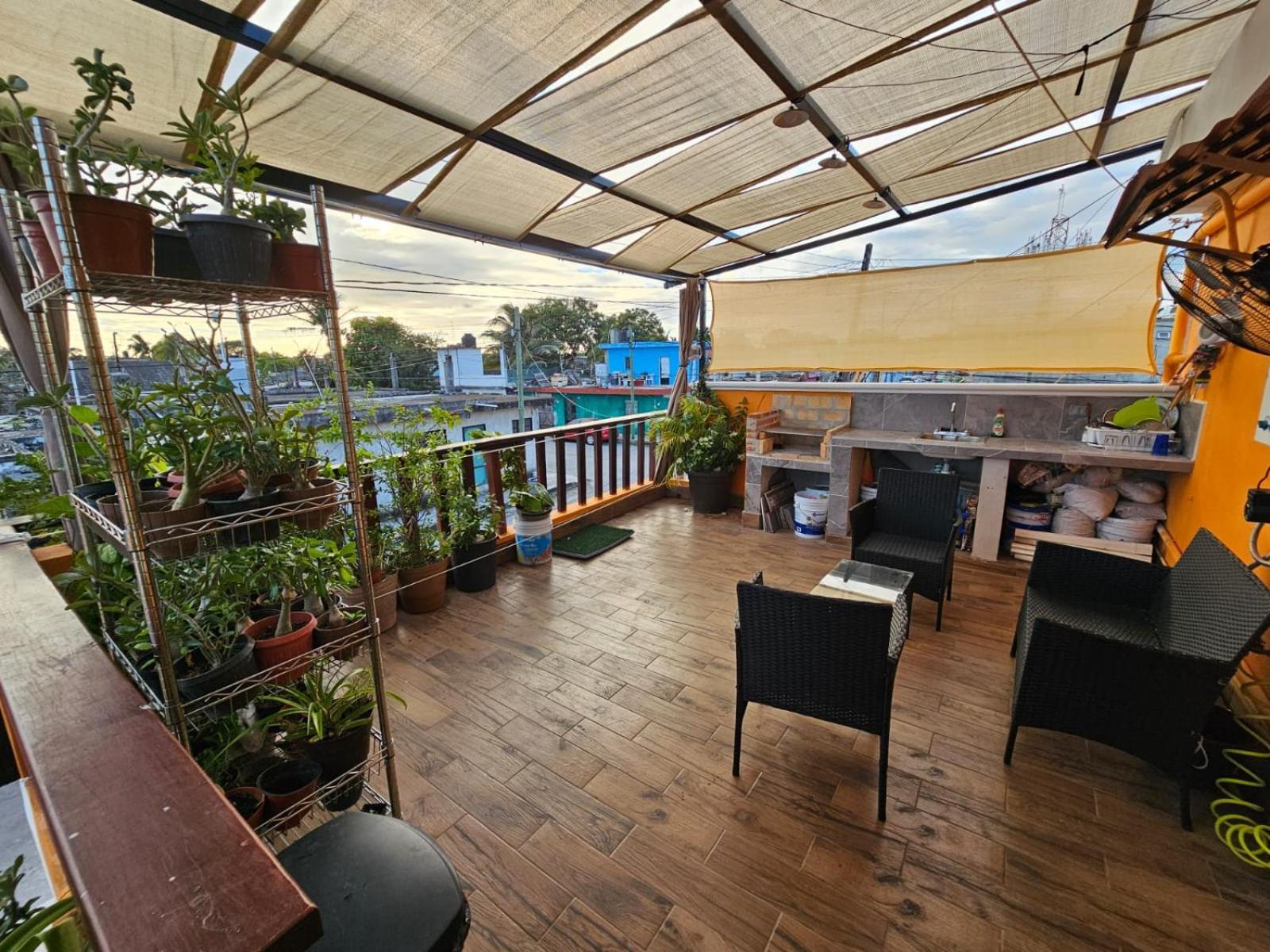 Apartamento 5 Estudio Planta Alta Con Terraza