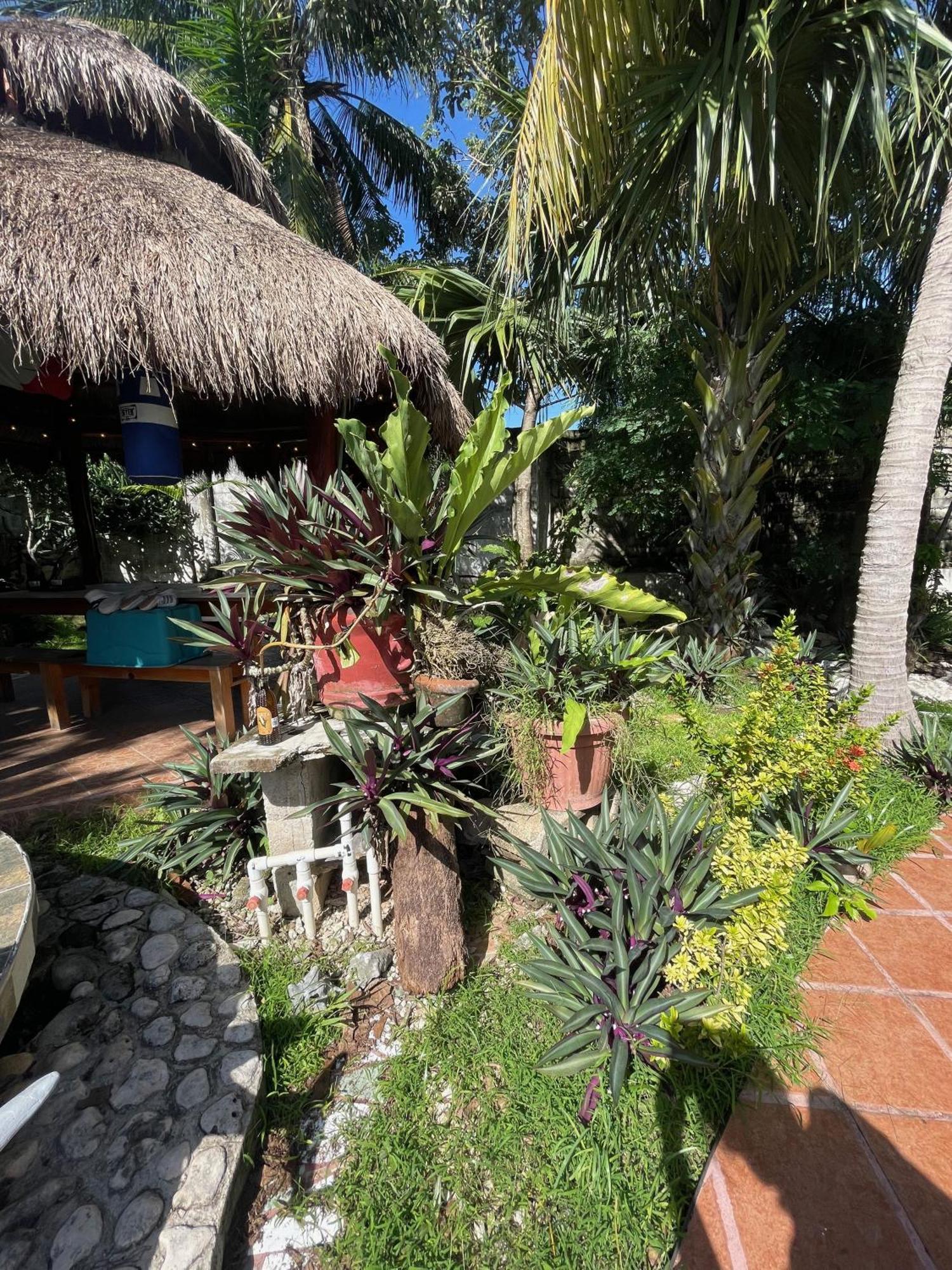 Casamaya 848 Cozumel