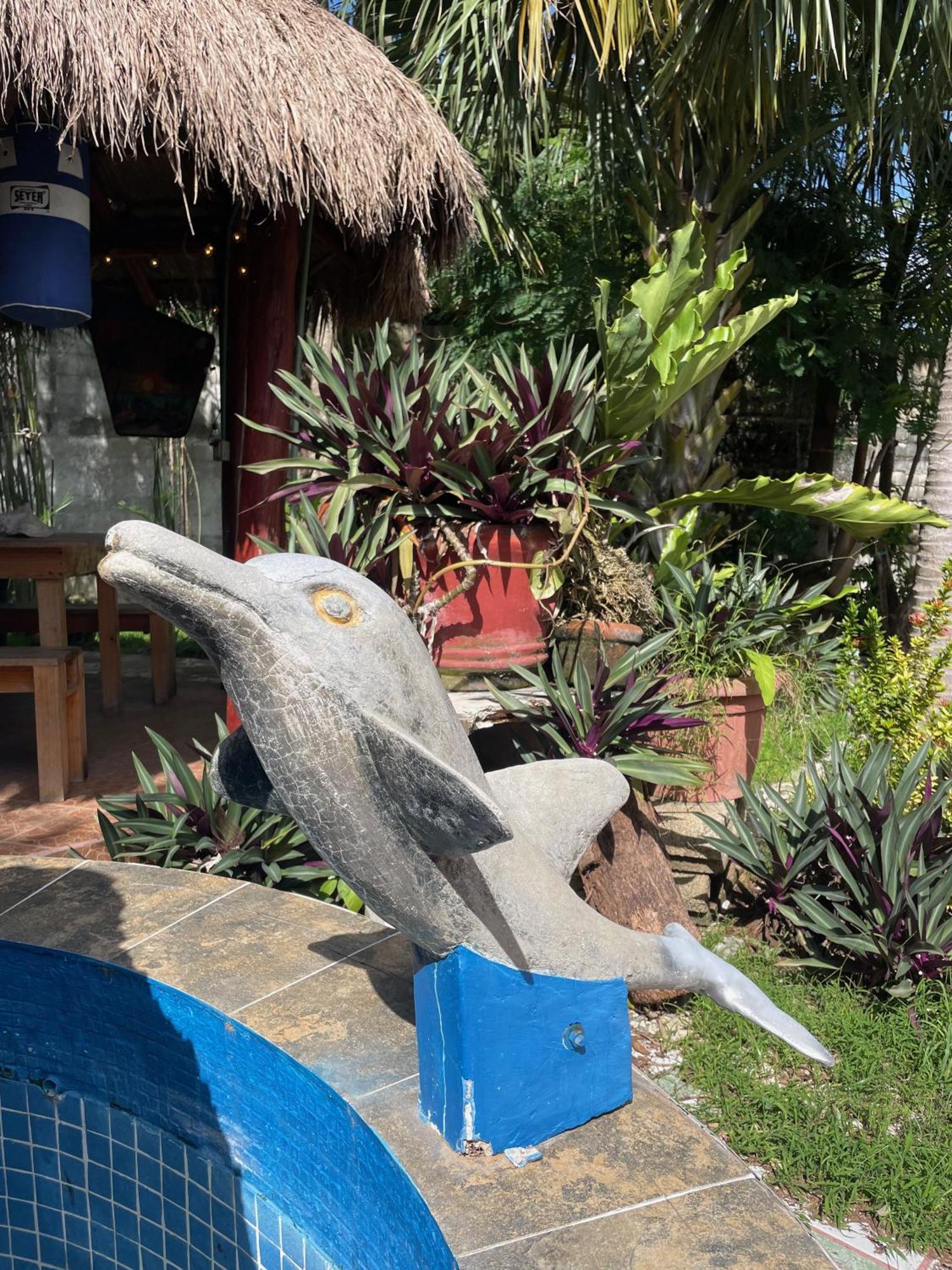 Homestay Casamaya 848