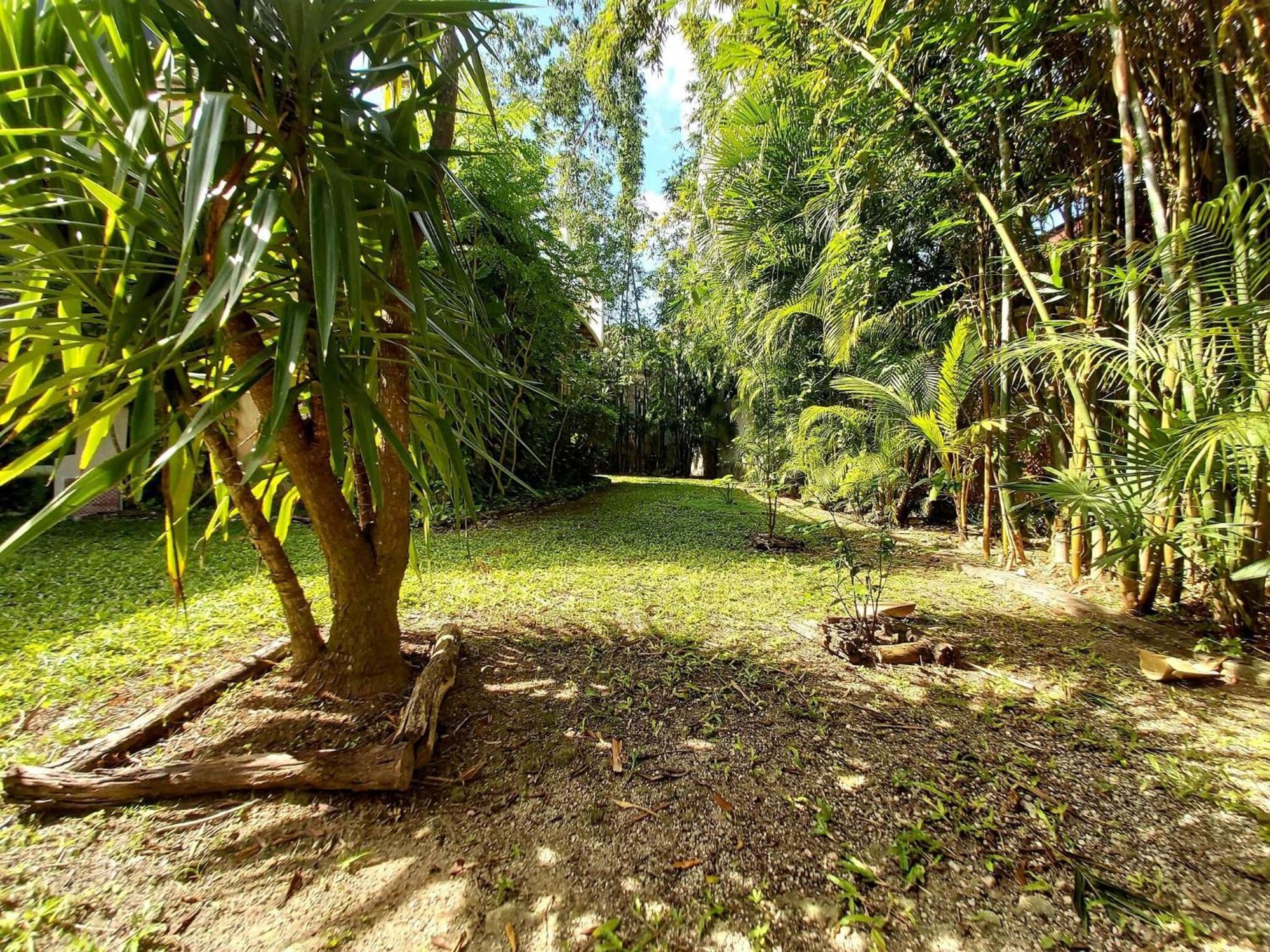 Holiday home Mini Pini Birdwatching And Cenote Loft4 Only *