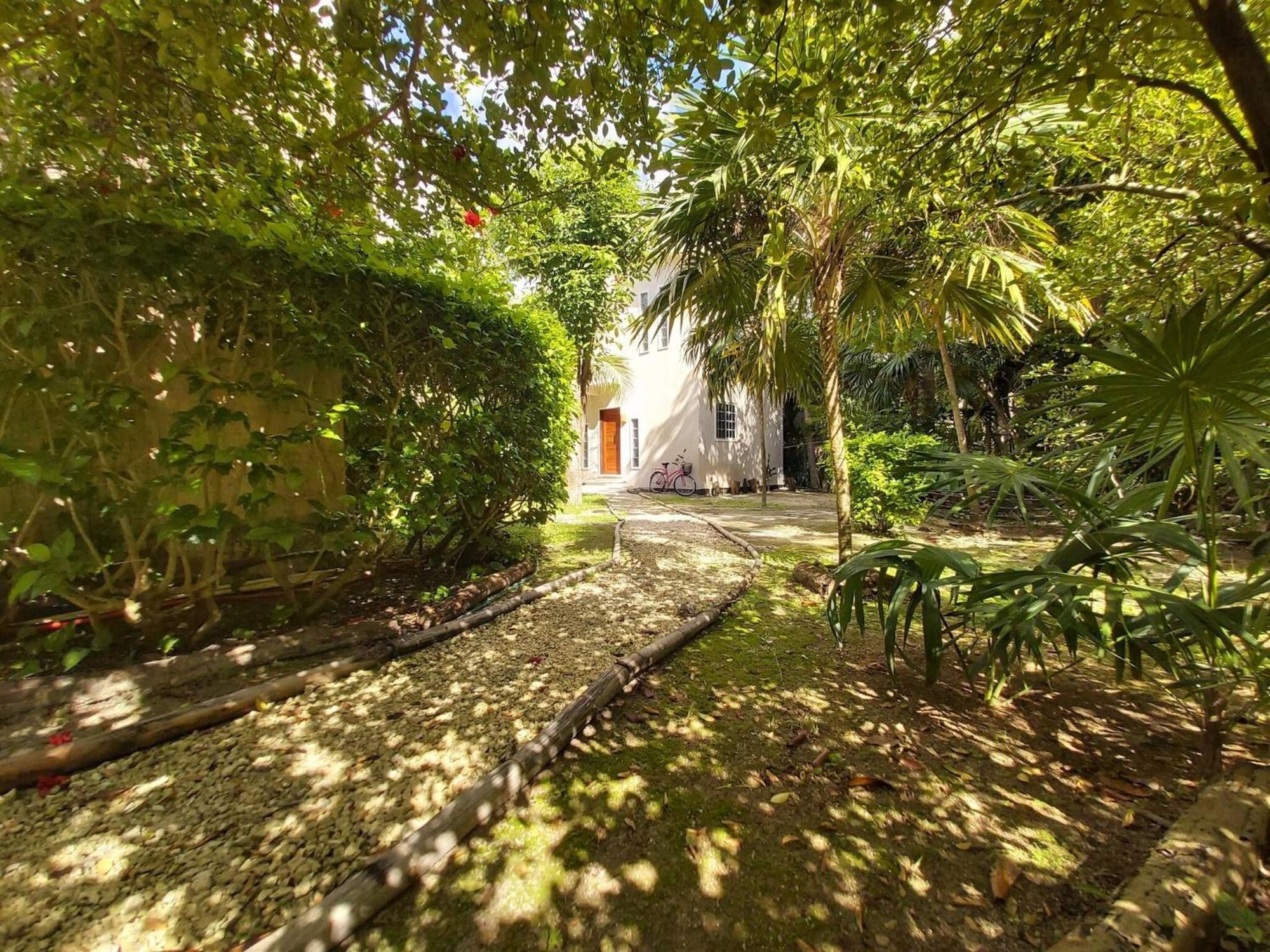 Holiday home Mini Pini Birdwatching And Cenote Loft4 Only