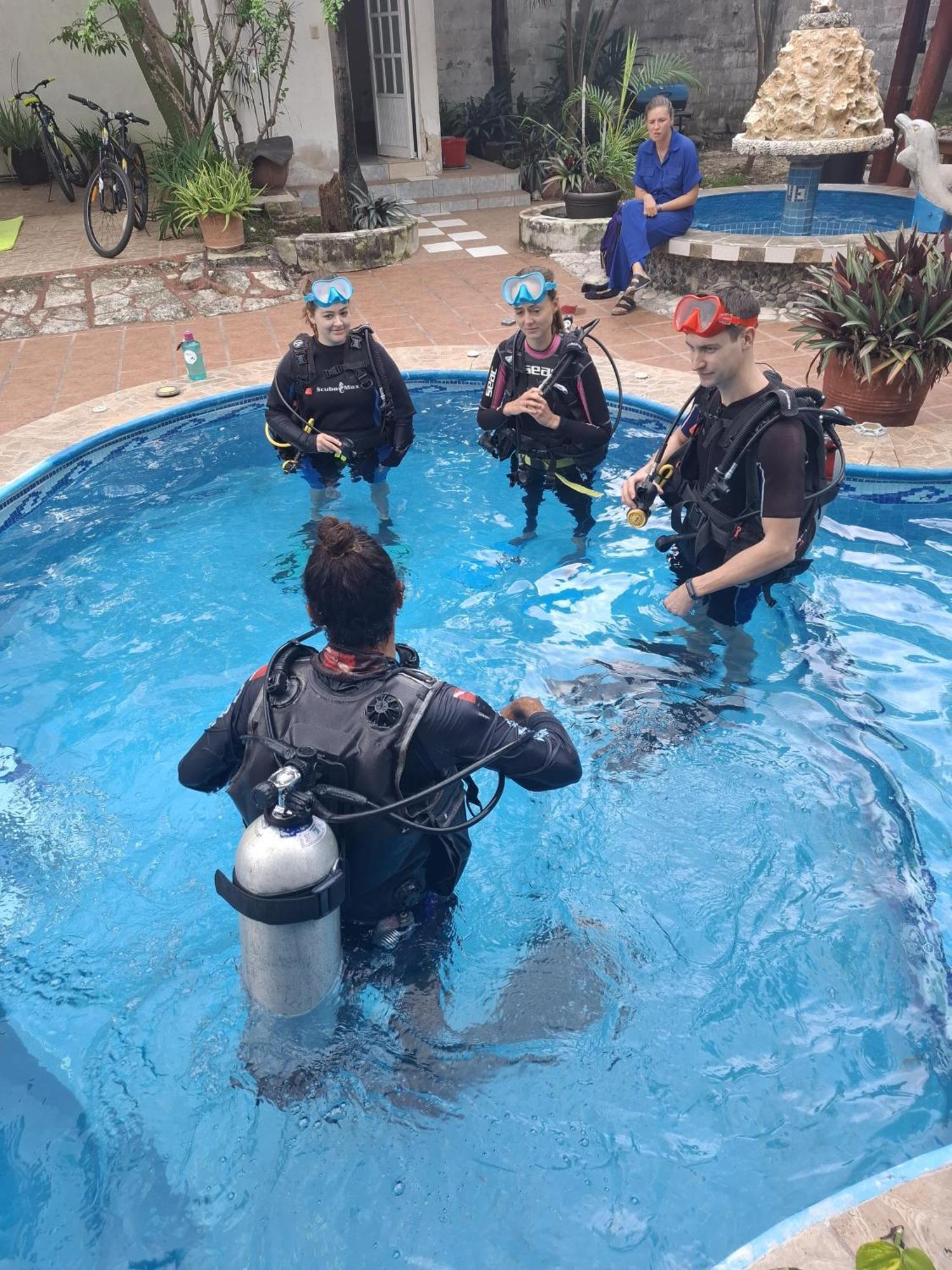 Casamaya & Diving Homestay
