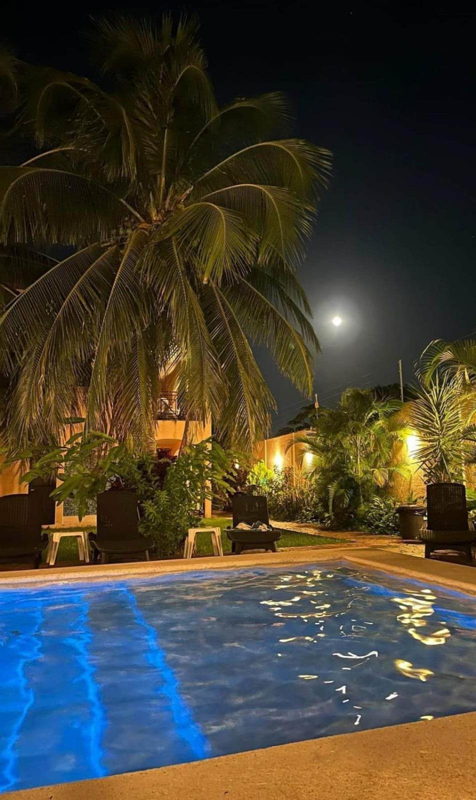 Apartment Coral Island