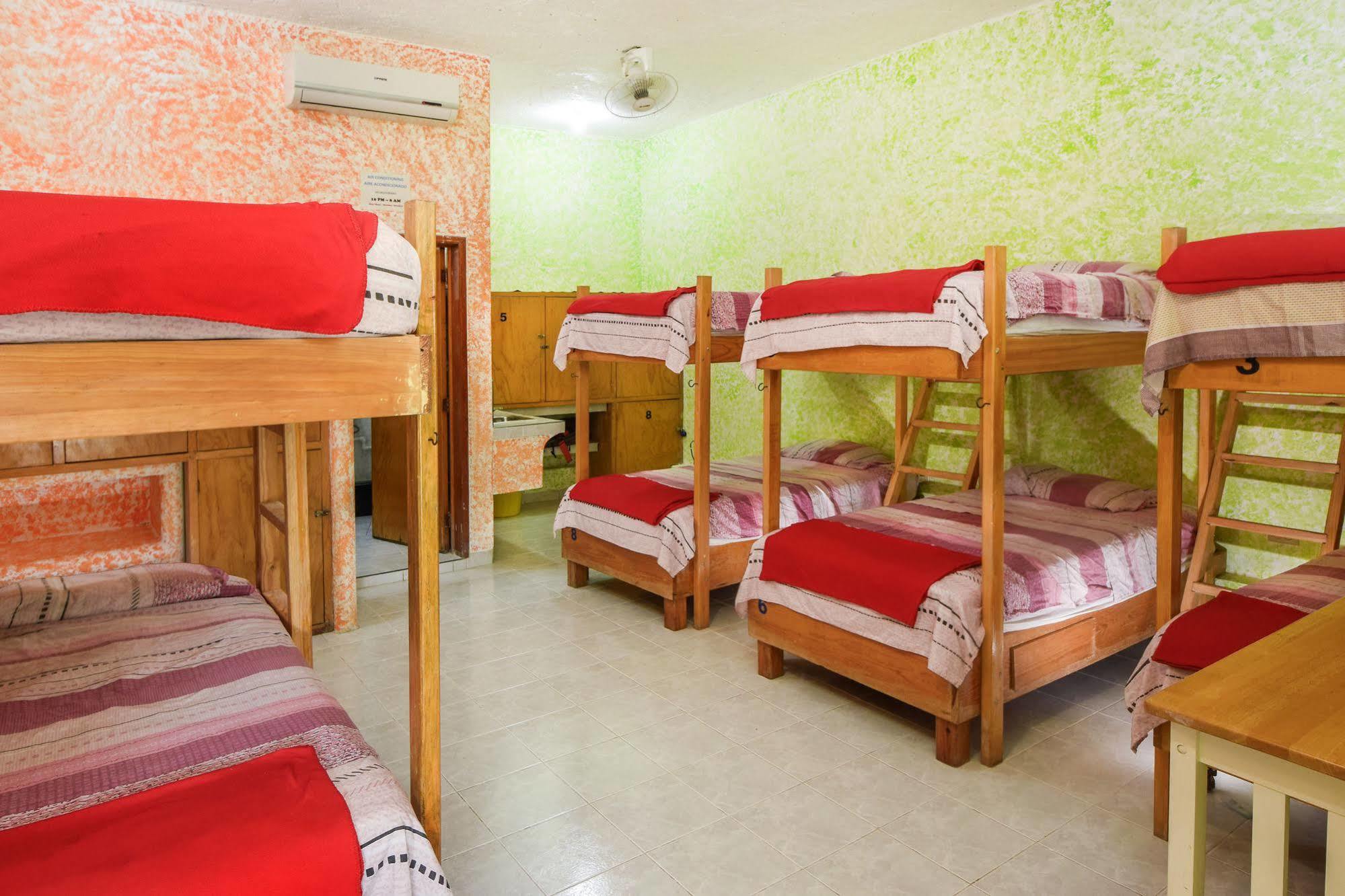 Nhà trọ Amigos