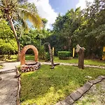 Mini Pini Bird Watching And Cenote Loft