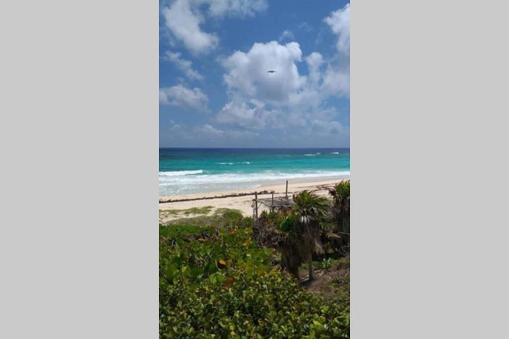Artisanal Eco Friendly Private Cabin-casa Ixchel Chalet Cozumel