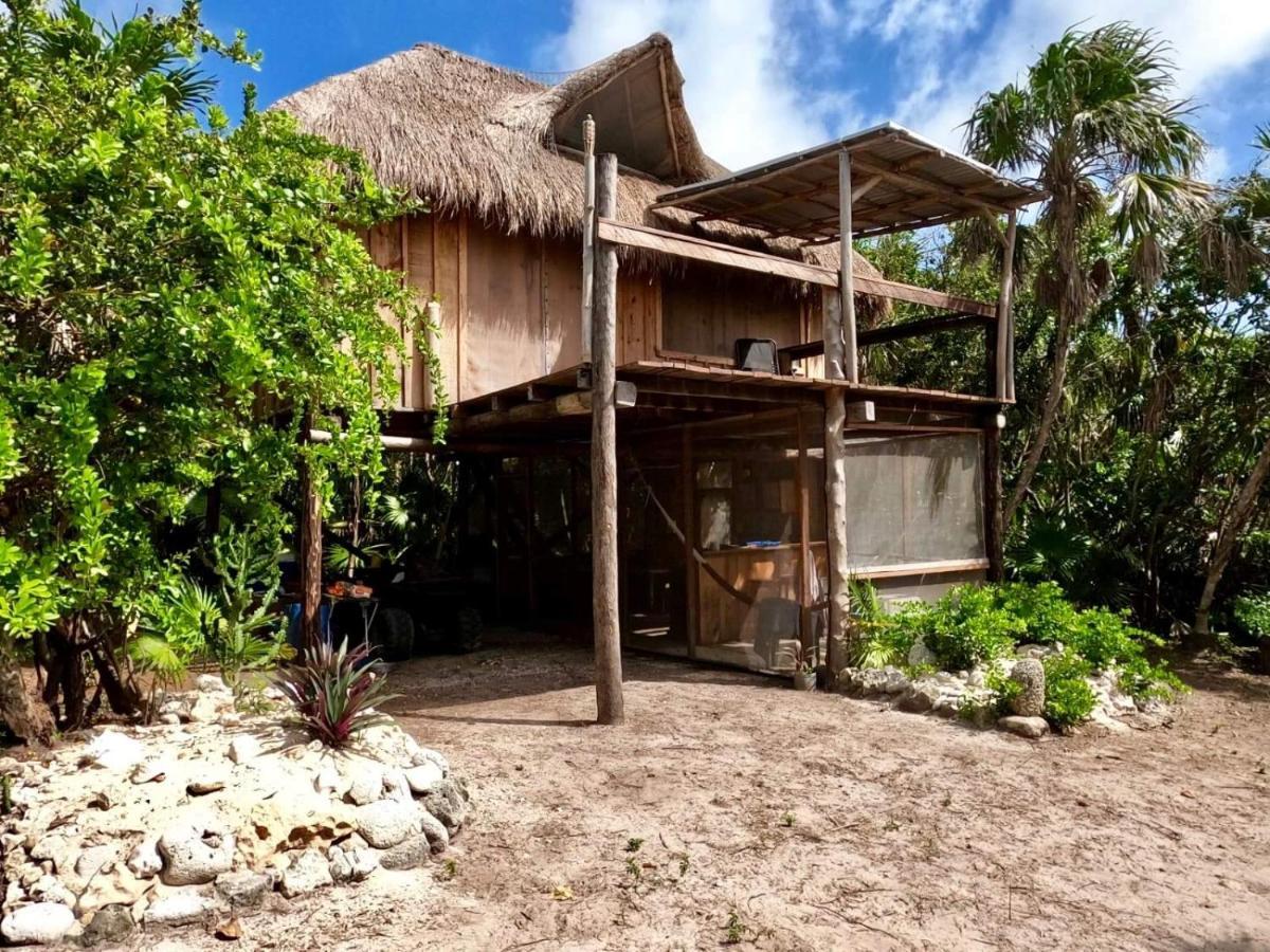 Artisanal Eco Friendly Private Cabin-casa Ixchel