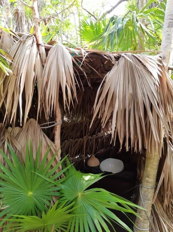 Artisanal Eco Friendly Private Cabin-casa Ixchel