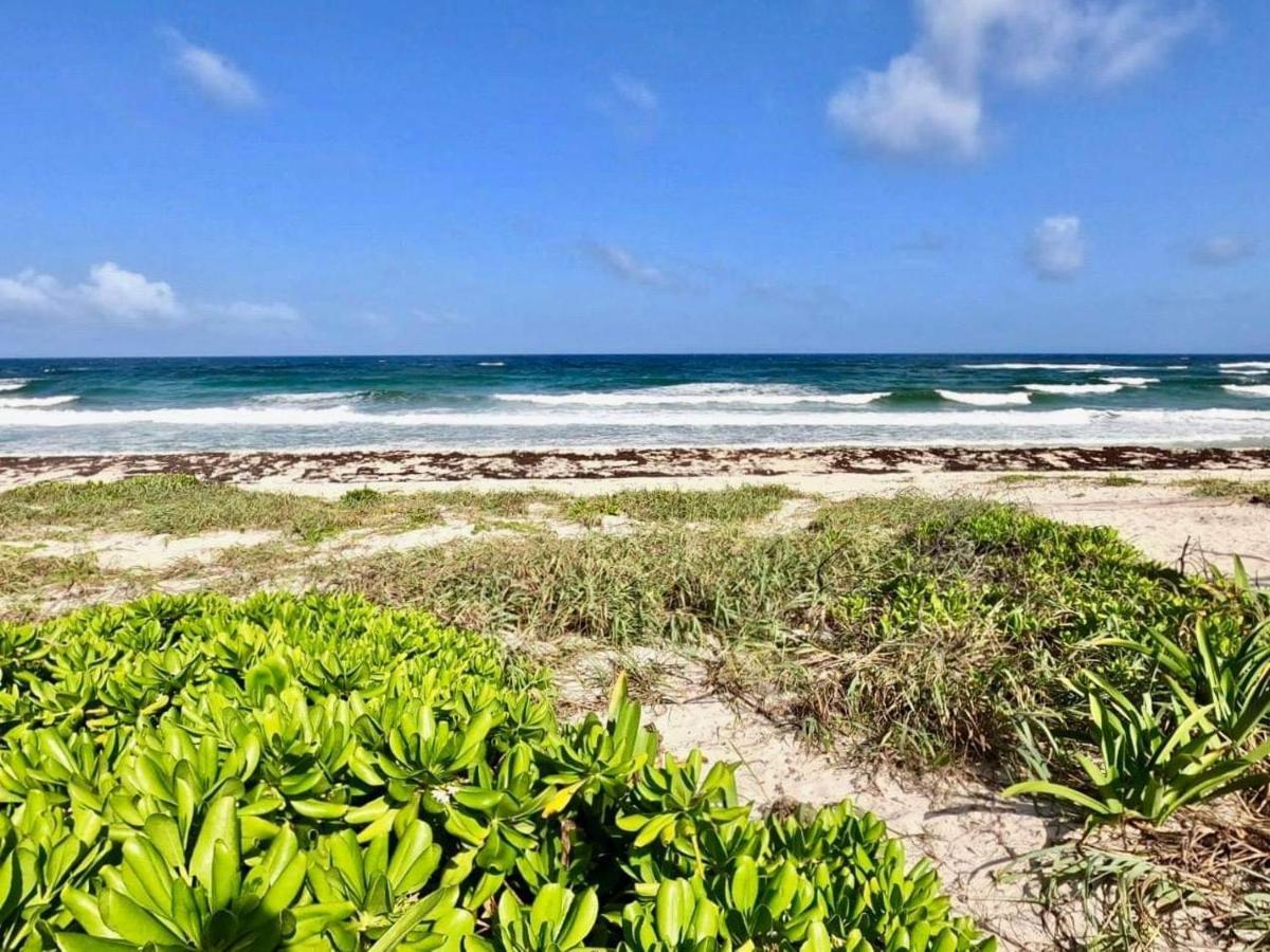 Artisanal Eco Friendly Private Cabin-casa Ixchel Chalet Cozumel