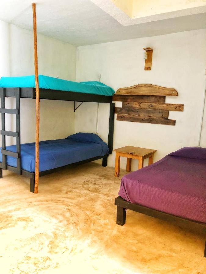 Guest house Mi Refugio Dive House