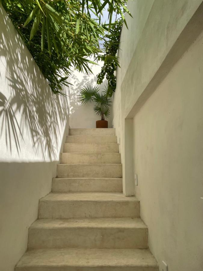 The Sunroom * Cozumel